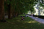 ant_2531.jpg