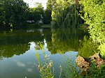 p1160827.jpg