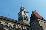 ant_3358.jpg