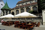 ant_3359.jpg