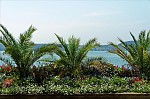 ant_3379.jpg