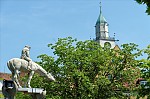 ant_3381.jpg
