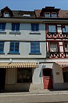 ant_3400.jpg