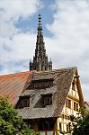 ant_0161.jpg