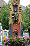 ant_0240.jpg