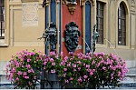 ant_0242.jpg