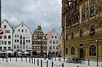 ant_0258.jpg