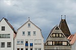 ant_0260.jpg