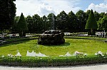 ant_9869.jpg