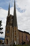ant_9948.jpg