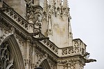 dsc_1873.jpg