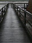 p1050710.jpg