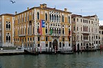 ant_8049.jpg