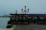 ant_8368.jpg