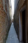 ant_8412.jpg