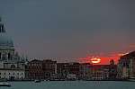 ant_8625.jpg