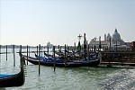 dsc_1009.jpg