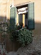 p1200606.jpg