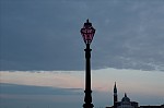 ant_8096.jpg