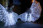 dsc_0542.jpg