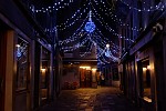 dsc_2219.jpg