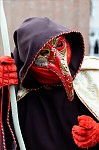 ant_8286.jpg