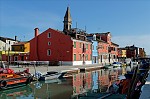 ant_8548.jpg