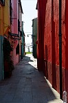 ant_8549.jpg