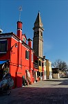 ant_8564.jpg