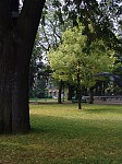 dsc00116.jpg