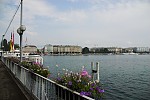 dsc_0309.jpg