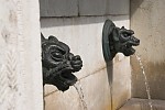 dsc_0366.jpg