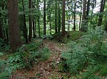dsc09786.jpg