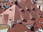 dsc00354.jpg