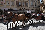 dsc_2228.jpg