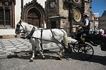 dsc_2232.jpg