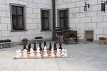 dsc_2551.jpg