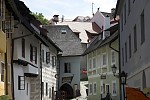 dsc_2559.jpg