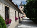 dsc00978.jpg