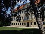 dsc01259.jpg