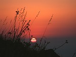 pict0447.jpg