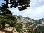 pict0909.jpg