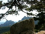 pict0916.jpg