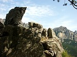 pict0917.jpg