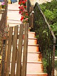pict0195.jpg