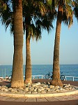 pict0068.jpg