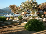 pict0523.jpg