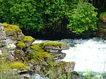 dsc03654.jpg