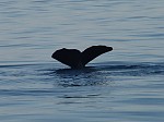 dsc05002.jpg