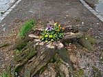 dsc03408.jpg
